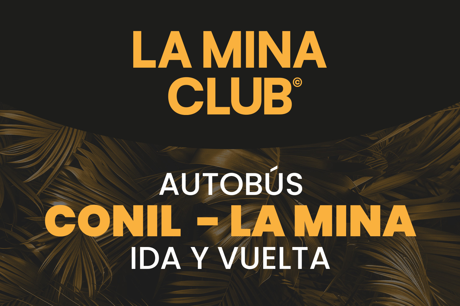 AUTOBUS CONIL - LA MINA (Reserva de ida y vuelta)